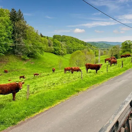 Maison Au Coeur De La Vallee Du Cantal - 2pers Dom wakacyjny *