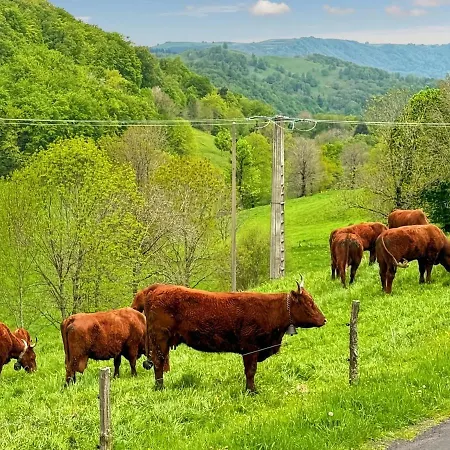 Maison Au Coeur De La Vallee Du Cantal - 2pers Lascelle
