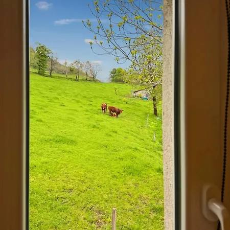 Maison Au Coeur De La Vallee Du Cantal - 2pers Holiday home